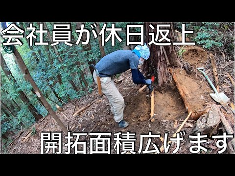 重機無しの整地作業再び：開拓面積を広げます【山開拓】#17