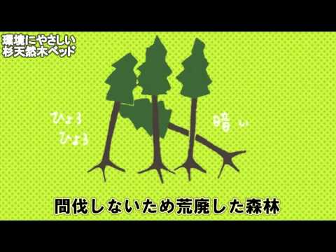 家具 天然杉 桐すのこ 間伐材 ベッド 通販