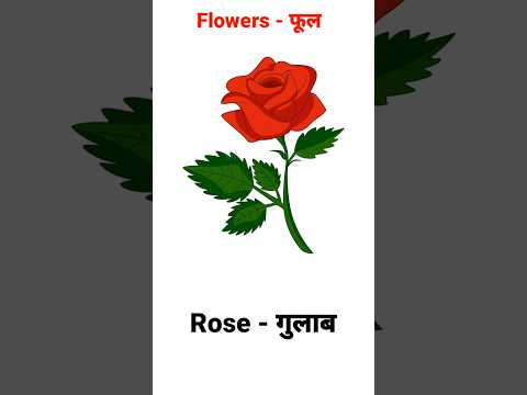 Flowers - फूल #shorts #flowers #words #word #wordmeaning #english #englishconversationpractice