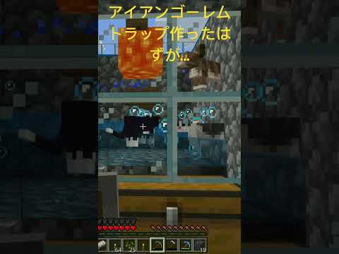 【マイクラ】アイアンゴーレムトラップを作った結果…