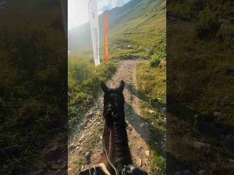 Horse riding Asmr in the mountains of Svaneti, Georgia 🏇#Shorts #Horseride #Asmr #mountains