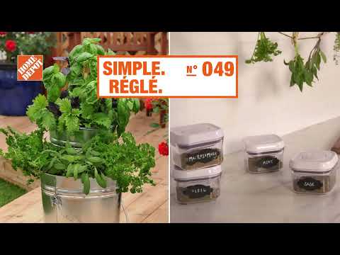 Comment faire sécher des fines herbes