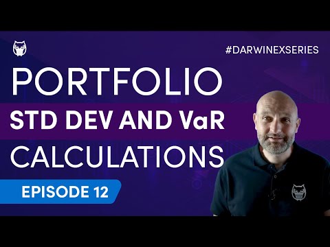 Step-by-Step Portfolio Std Dev and VaR Calculations | Value at Risk