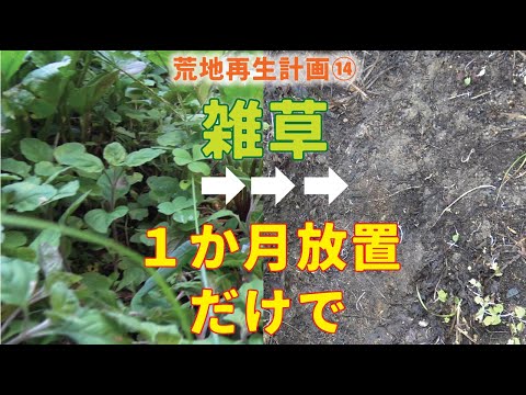 【diy】防草シートで畑の雑草対策。草刈り、除草剤、熱湯・・・いやいや毎年作業が面倒なので、この方法で。本当の意味の除草シート　休耕地、休耕田の雑草対策［簡単除草］［garden answer］