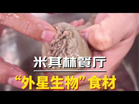 “外星生物”是什么味道？它居然还上了米其林餐桌，有这么好吃？