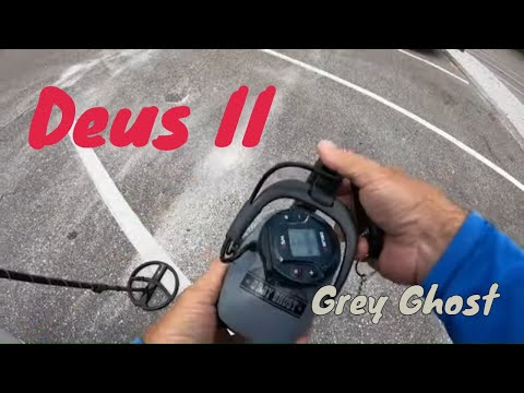 Metal Detecting the Wet Sand with the Deus II