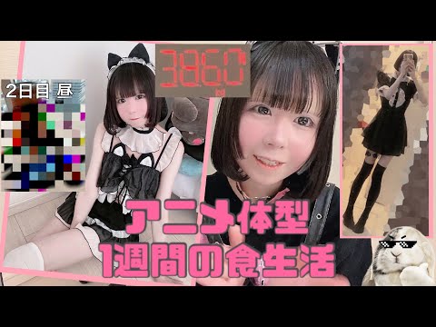 【アニメ体型】163cm38kgのゴミみてえな食生活1週間分【ダイエット】