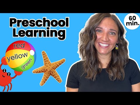 Preschool Learning Adventure at the Beach | Colors, ABCs, Emotions + more with Ms. B