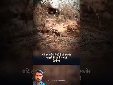 #lion #army #armylover YouTube channel Bhojpuri #lifechanging