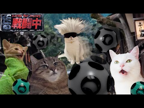 戦闘中をすることになった猫たちの日常Part8【猫ミーム】【猫マニ】