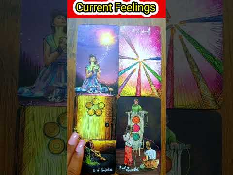 💞Current Feelings💕💞💓 #tarot #tarotreading #lovetarot #viralvideo #viralshorts #trendingshorts #tarot