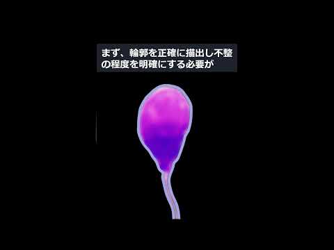 新精子検査形態（縦長）v1a