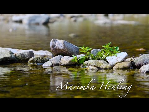 Surrounded by the sound of marimba｜healing music｜relax time｜natural sound