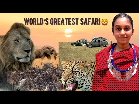 Safari In Maasai Mara | We Saw THE GREAT MIGRATION 😳 🇰🇪