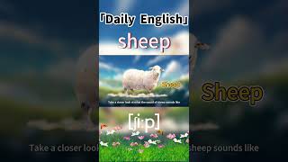 Is that sleep or sheep?#adventure  #learning#learnenglish #animals