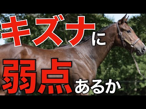 リーディング独走中のキズナに弱点はあるのか？あまりにも高すぎる種牡馬指標。