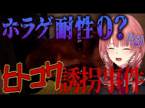 【ホロライブ切り抜き】ホラゲ耐性0?女幹部のリアリティあるヒトコワ誘拐事件(チラズアート/Chilla's Art/誘拐事件/鷹嶺ルイ/ホラーゲーム)