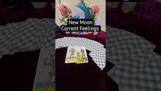 🌜New Moon Current Feelings of your partner🌛#lovetarot #lovetarotreading