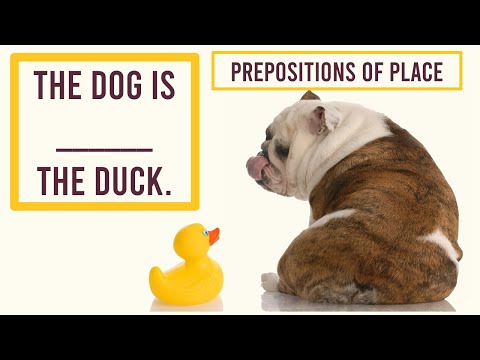 Behind, Next To, In Front Of, Above, Between | Learn Prepositions Of Place | English Quiz