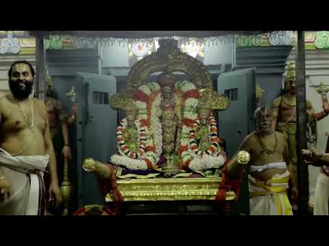 Kanchi Varadarajan - Thirukkarthigai Uthsavam - 2023_37 m 12s