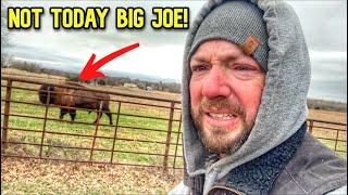 Had to do a Roundup, But Big Joe Can't Come In!