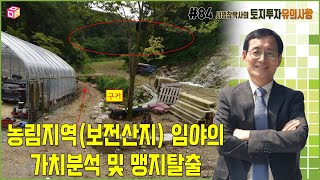 토지투자 유의사항 #84 농림지역(보전산지) 임야의 가치분석 및 맹지탈출