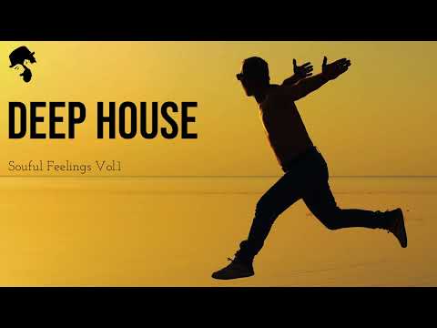 Gentleman - Deep House Mix [Soulful Feelings Vol.1]