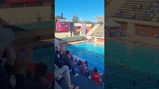 Go Stanford #waterpolo #stanford #ucla #postdoclife