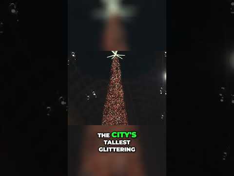 Toronto's Towering Christmas Tree: A Festive Must-See