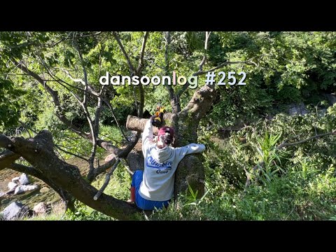 Spring Rural Life in Korea vlog 252) Tree trimming