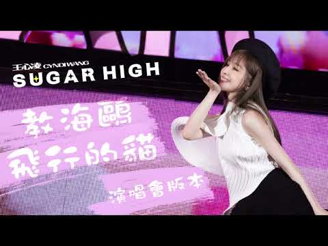 王心凌 Cyndi Wang 《教海鷗飛行的貓》SUGAR HIGH 世界巡迴演唱會 Remix