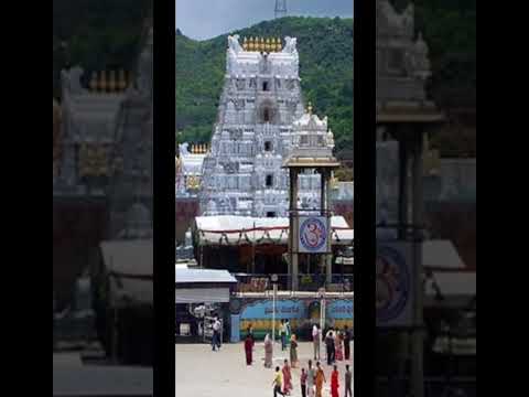 Thirumala Tirupati Devasthanams TTD Balaji #ytshorts #Thirumala #Tirupati #Balaji #shorts