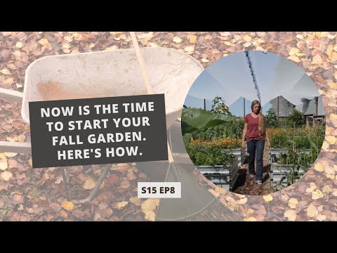 S15 E8: NOW is the Time to Start Your Fall Garden. Here's How.