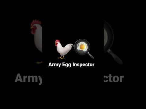 Army Egg Inspector #army #rotc #egg #existentialcrisis #eggsistentialcrisis