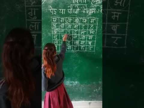 एक खोज पेड़ पौधों के नाम।।#primaryschool #nipunbharatmission #viralshorts #shorts2022