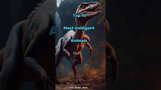 Top 10 most intelligent animals in the world #animals #animal #top10 #viral