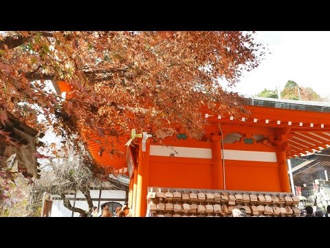 Mount Takao November 21st, 2015