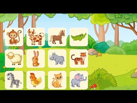 "Fun Learning with Animals, Colors, and Simple Math for Kids!"@Meetkid