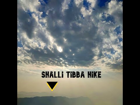 Shali Tibba - A peaceful hike near Shimla city