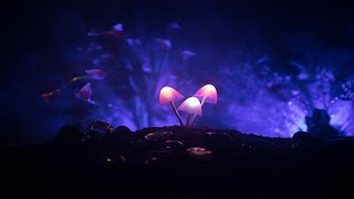 Relaxing Fairy Music - Dark Fae | Soothing, Sleep, Peaceful ★180