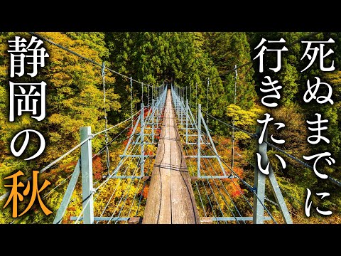 [Japan village in Okuoi Unexplored] 15 Spectacular Views of Shizuoka to Visit in Autumn-JAPAN in 8K