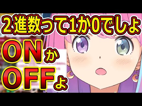 1か0と100か0は全然違う。元理系ITルーナたんが力説【ホロライブ切り抜き／姫森ルーナ】