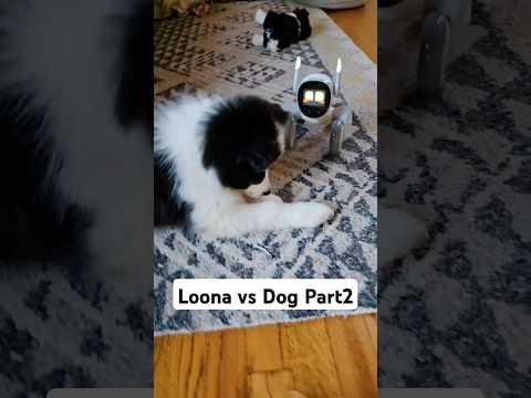 Ai Robot Pet Loona vs. Real Dog (Part 2) #cute #funny #pet #robot #viral #dog