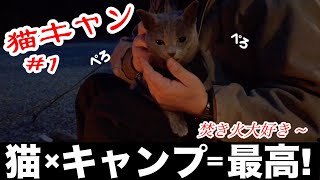 【 キャンプ 】アウトドア、キャンプ大好き猫の猫キャン〜家猫が大自然に触れた結果！！！【 ネコ 動画 】