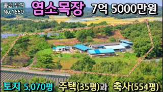 No.1560.충남부여 2차선도로 접해있는 넓은토지 5,070평 주택과 염소목장 전원주택매매 농가주택매매 시골집매매 토지매매 싼땅전문 최우선공인중개사 귀농귀촌/공주부동산TV