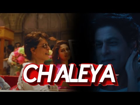 Chaleya | New Bollywood Romantic Song 2024 | Latest Hindi Love Song | Trending Bollywood Hits