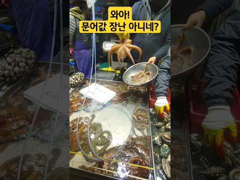 경동시장  살아있는 문어가 얼마라고? 정말?