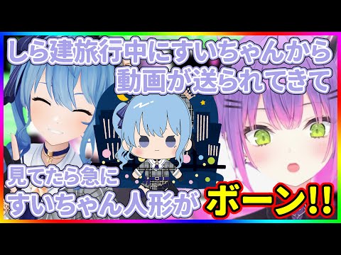 トワ様にすいちゃん人形動画を送り付けるすいちゃん、etc..【ホロライブ/星街すいせい・常闇トワ・博衣こより/切り抜き】