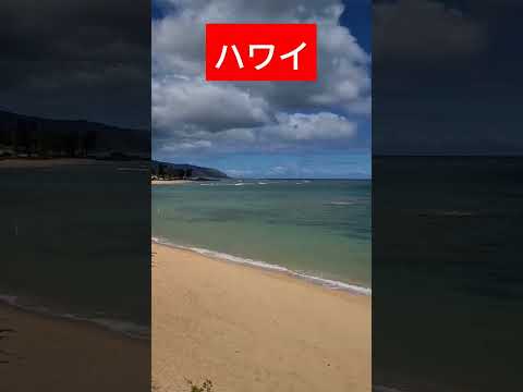 【ハワイ生活】ようこそハレイワ 浄土宗へ ハワイ 浄土宗 南無阿弥陀仏 Hawaii Haleiwa Jodo Mission North Shore #shorts