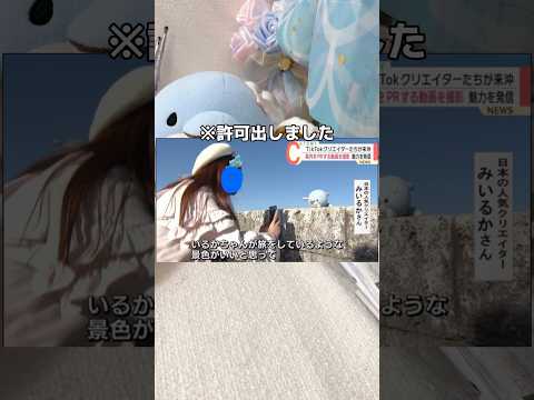 【悲報】成人女性がぬいぐるみで遊んでたらテレビに映りましたwwww